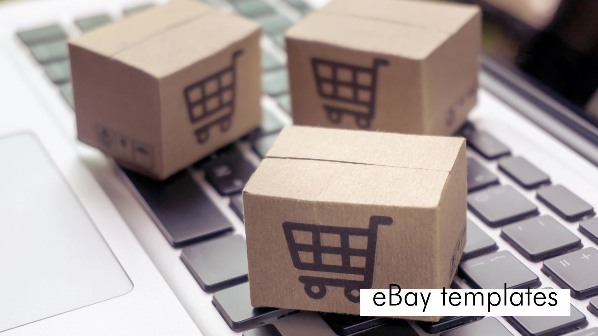 How to Write a Proper Description for an eBay Auction